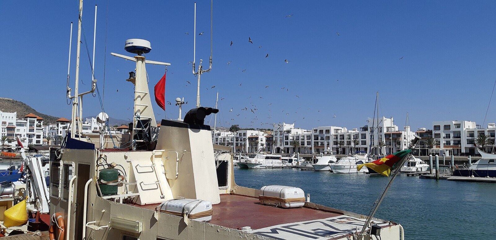 Boat in Agadir Marina 2020