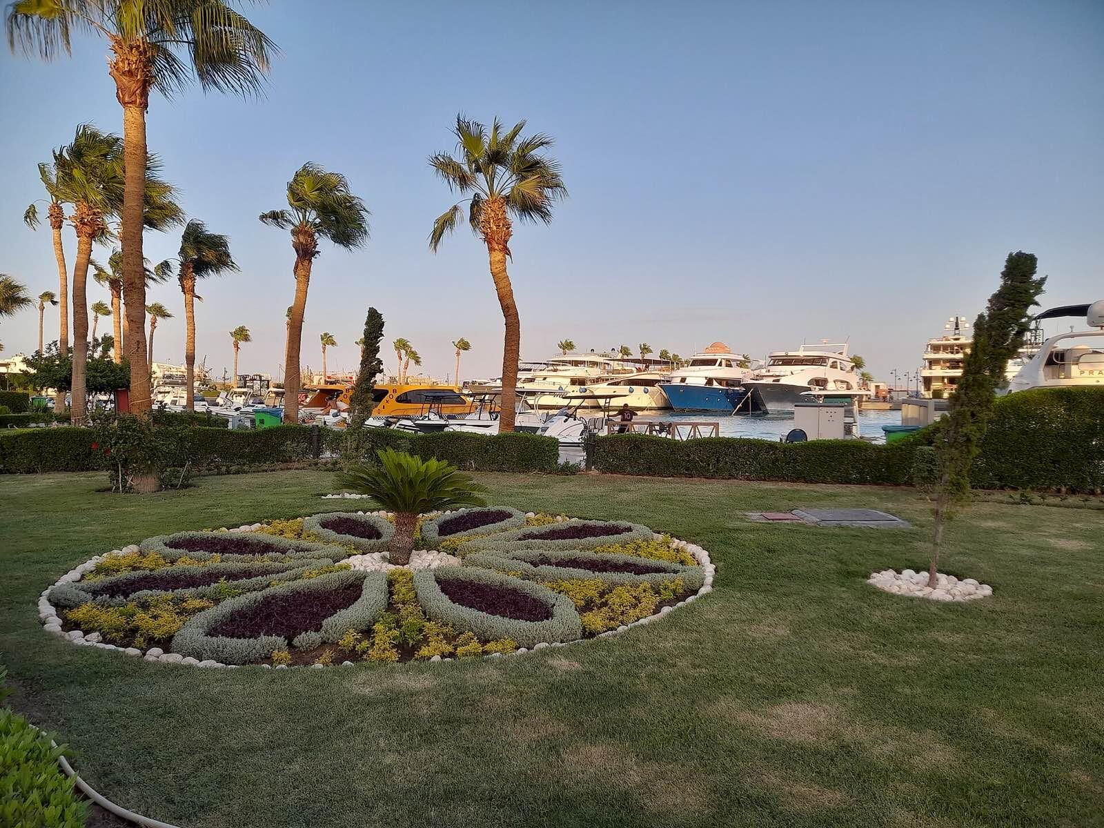 Marinaen i Hurghada med palmer og yachter i kveldslys
