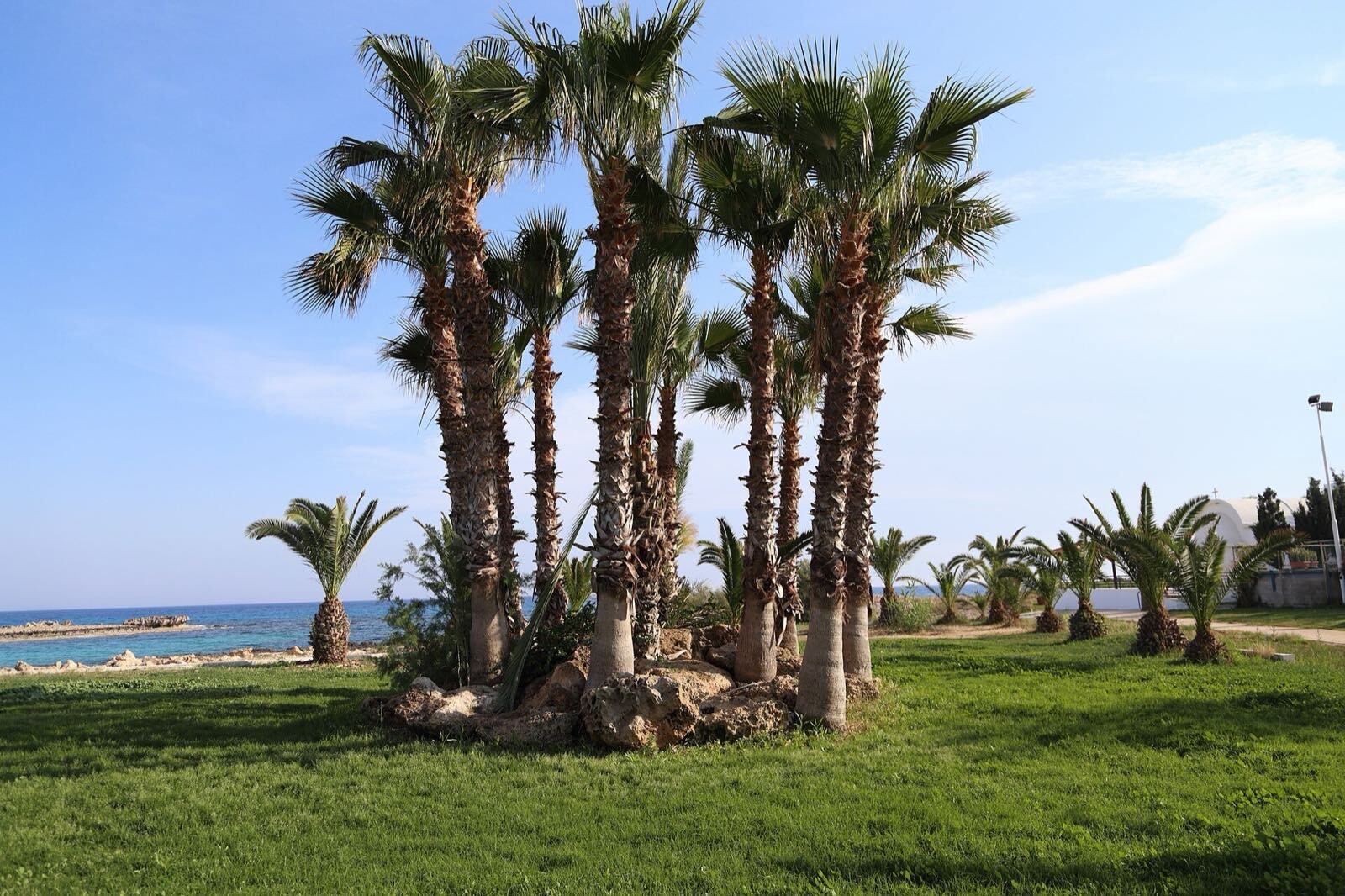 Turkis bukt ved Nissi Beach i Ayia Napa på Kypros