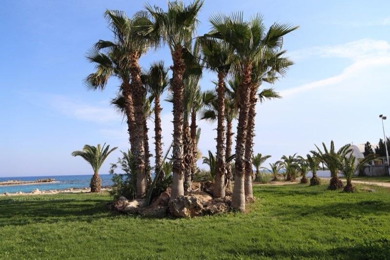 Turkis bukt ved Nissi Beach i Ayia Napa på Kypros