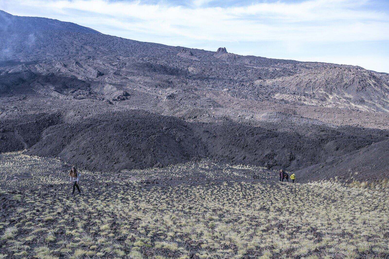Lava fields and vegetation on Mount Etna in Sicily, Italy.