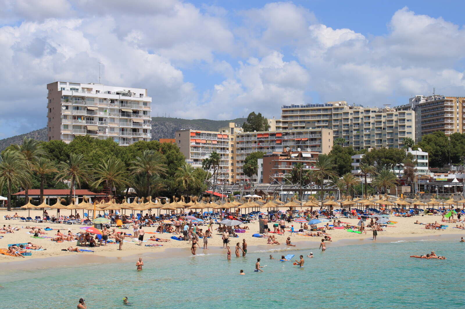 Tettpakket strand med solende badegjester og hotellbebyggelse i Magaluf på Mallorca i høysesong