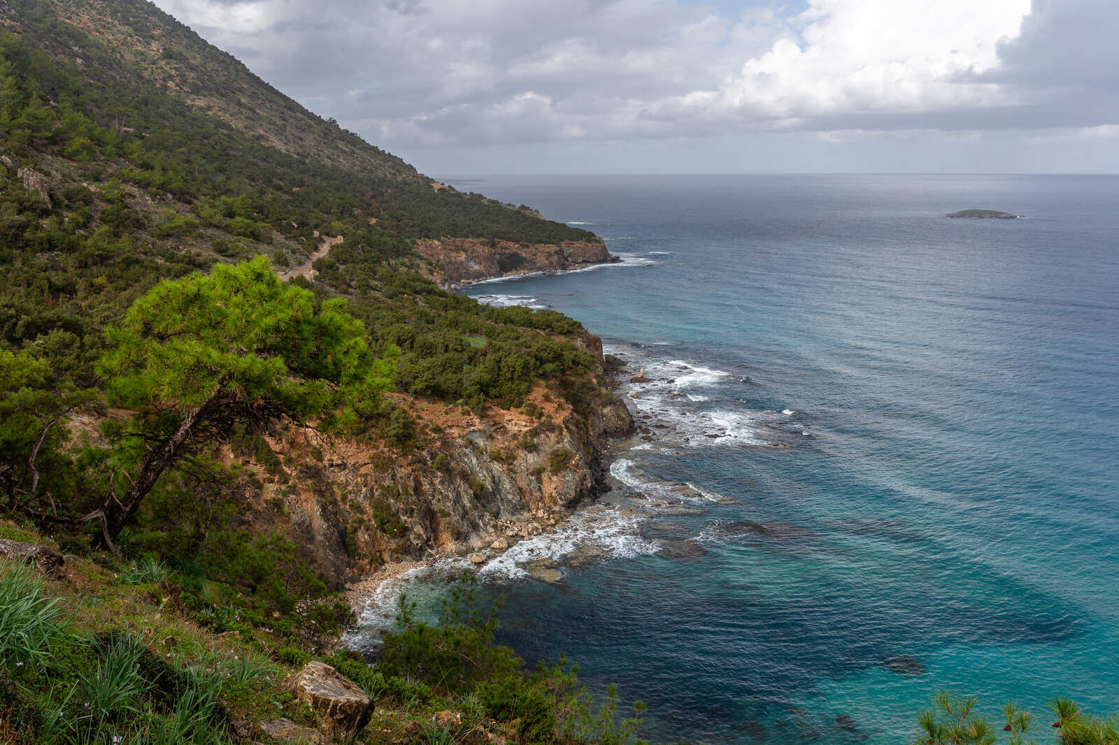 Grønn furukledd kyst og turkist vann på Akamas-halvøya på Kypros under skyet himmel